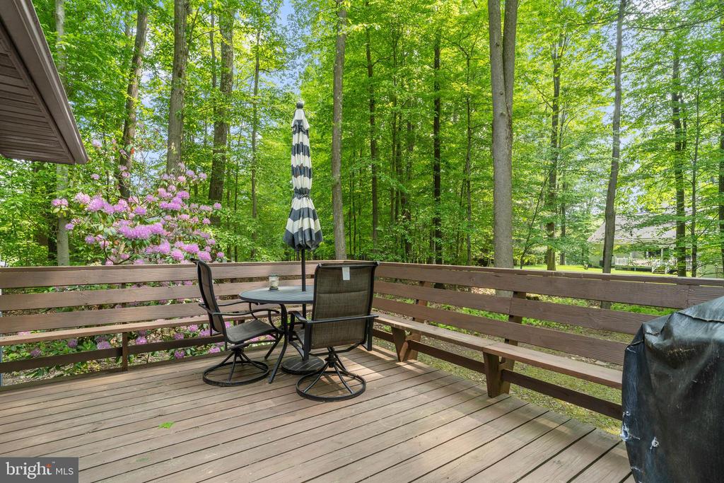 104 Blue Spruce