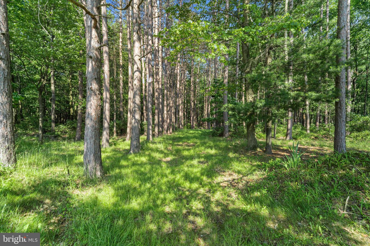 882 Rolling Stone Road