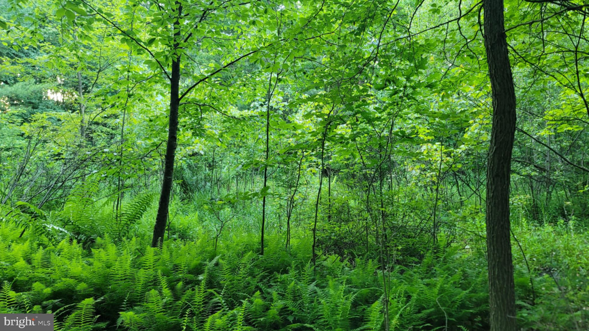 Philipsburg Bigler Hwy