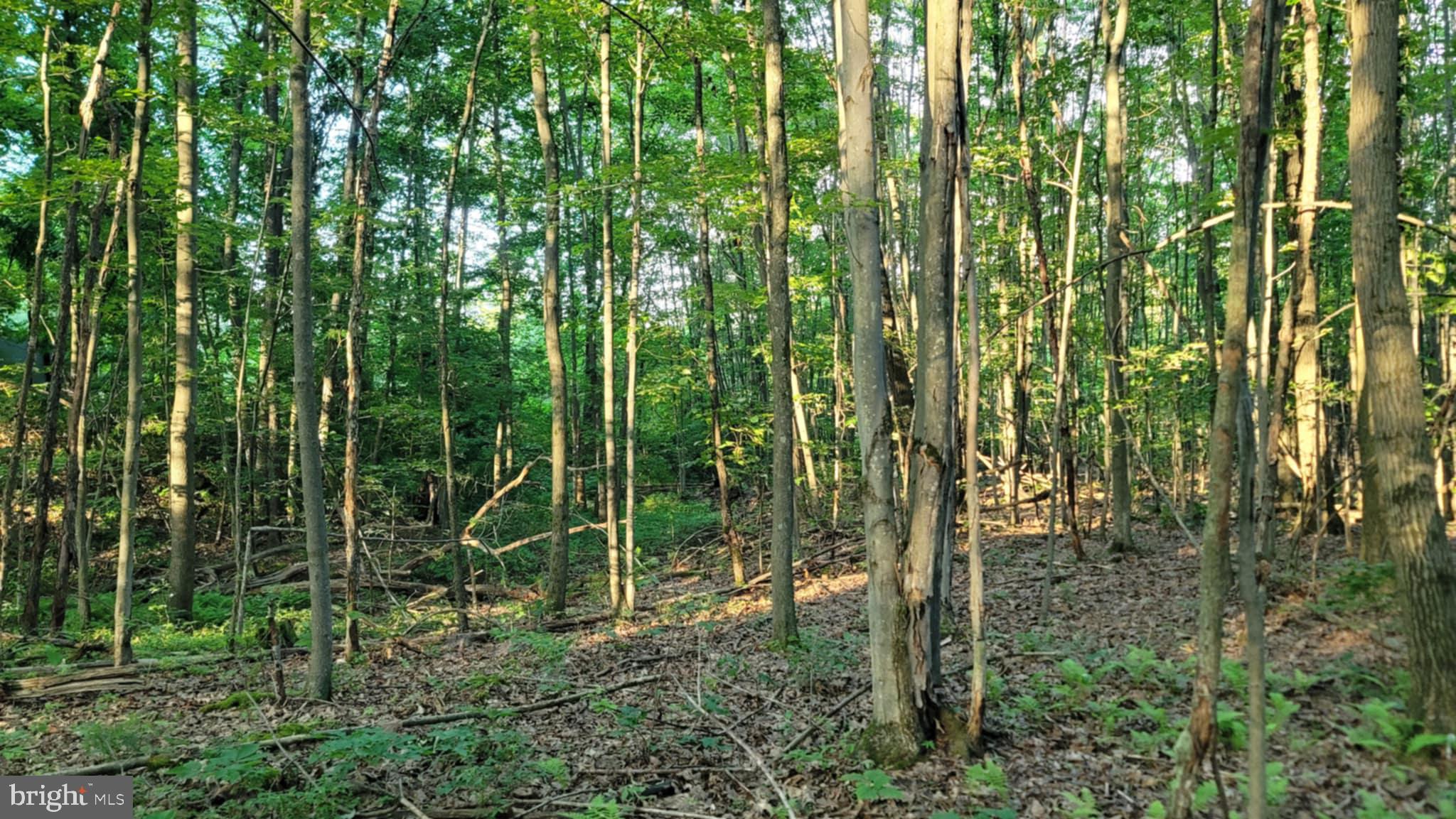 Philipsburg Bigler Hwy