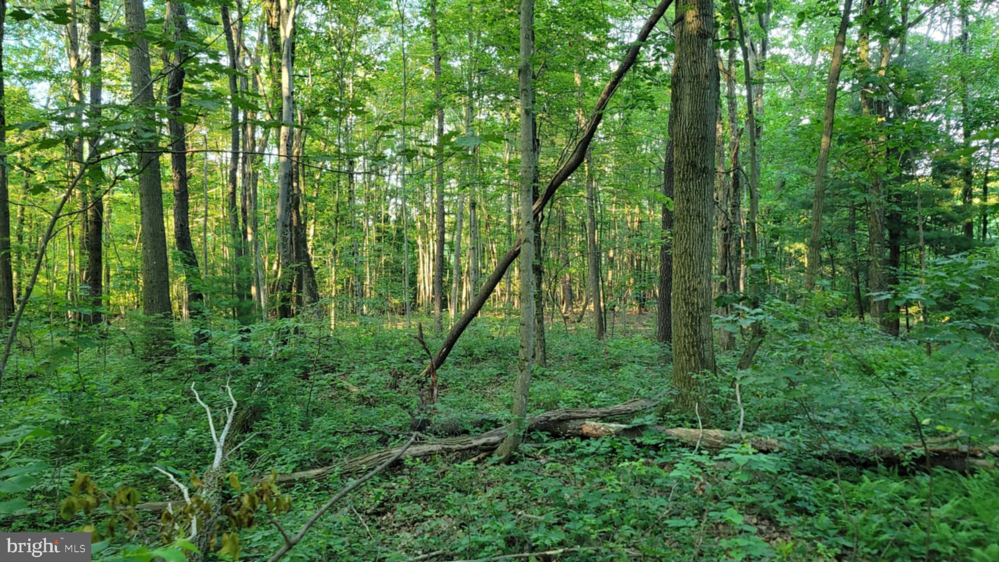 Philipsburg Bigler Hwy