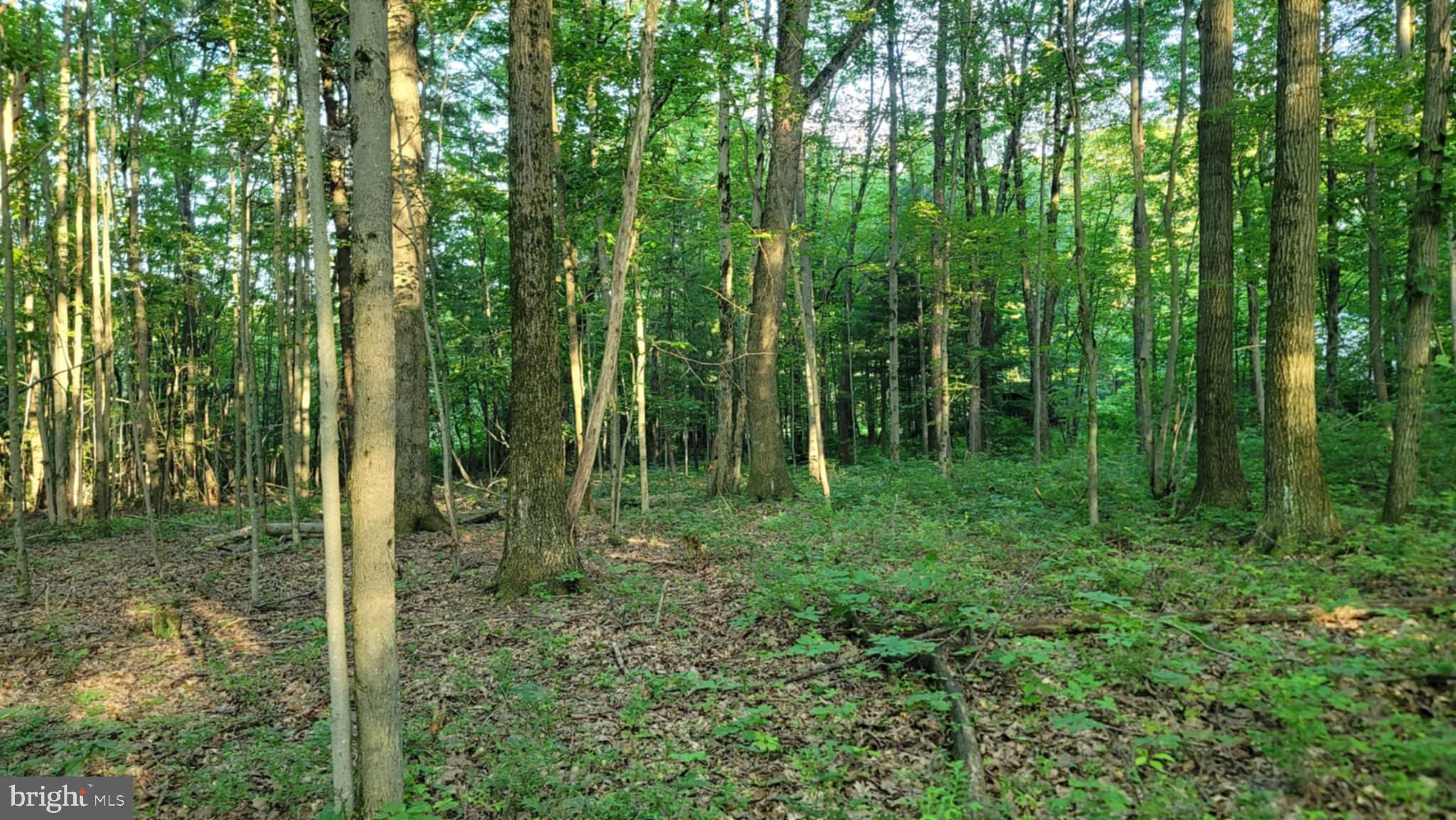 Philipsburg Bigler Hwy