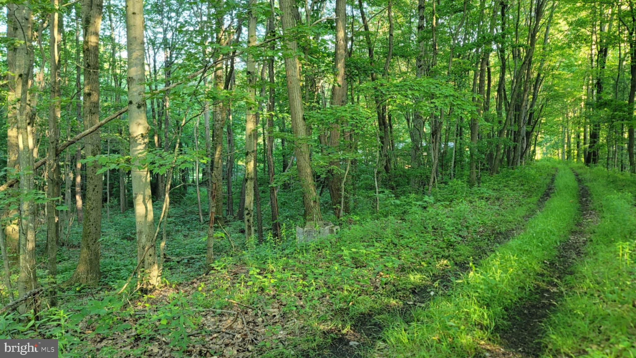 Philipsburg Bigler Hwy