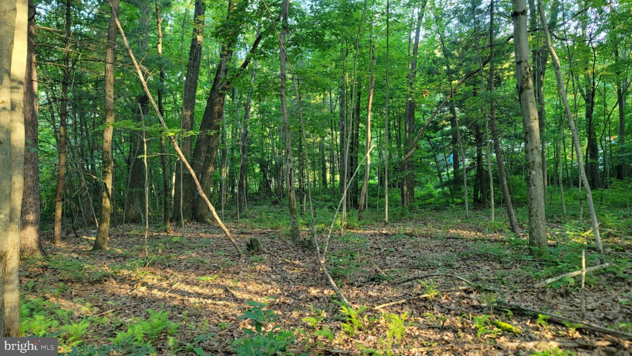 Philipsburg Bigler Hwy