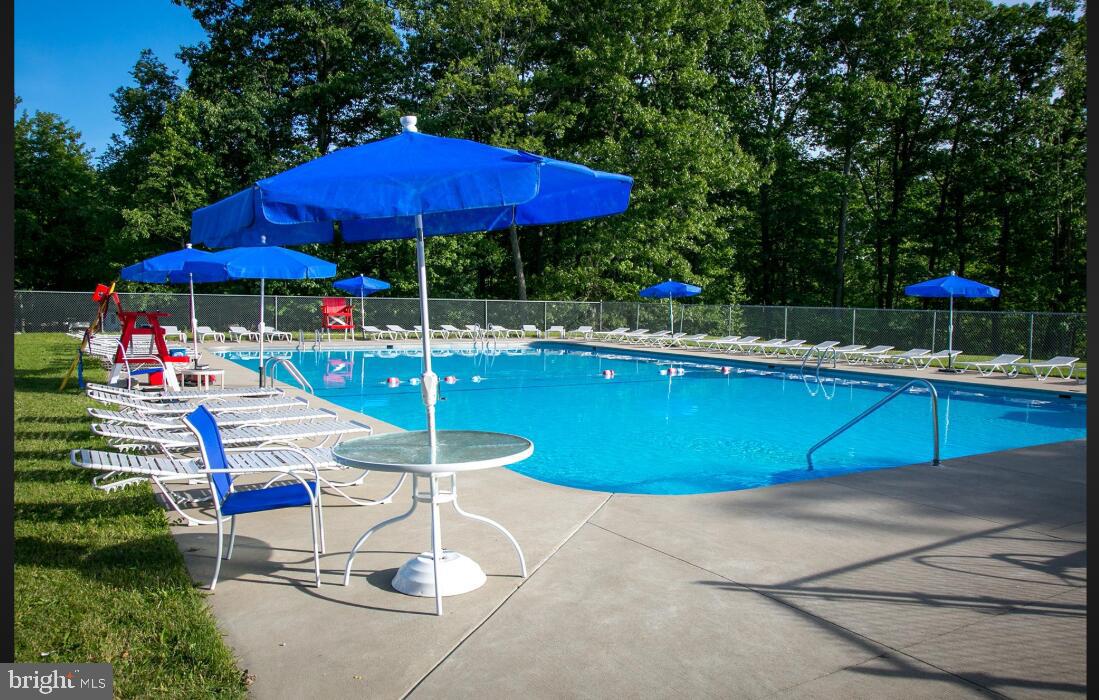 Section 19 Lot 181 DOLPHIN HEAD ROAD