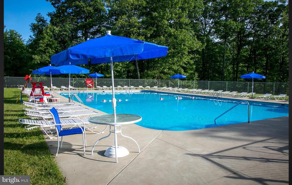 Section 19 Lot 181 DOLPHIN HEAD ROAD