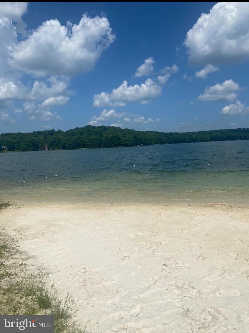 Section 19 Lot 181 DOLPHIN HEAD ROAD