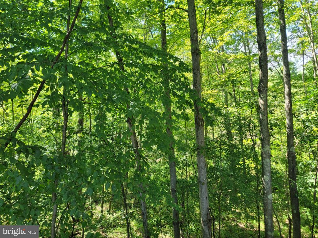 1191 FLEGAL ROAD