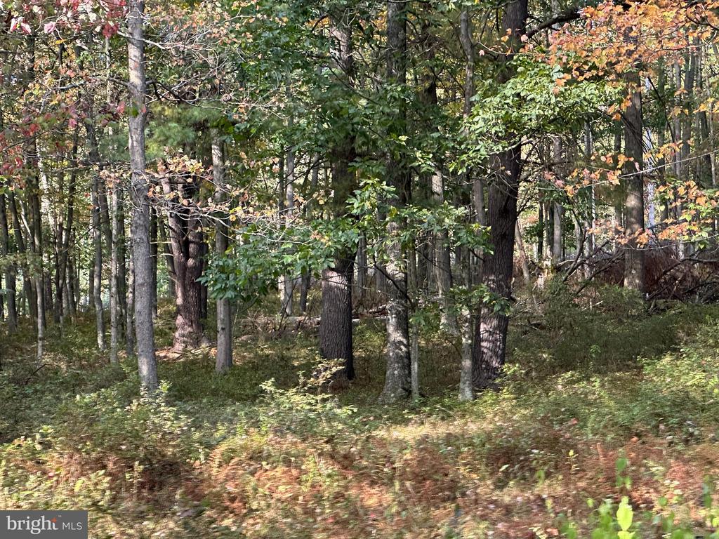 6000 ROLLING STONE ROAD