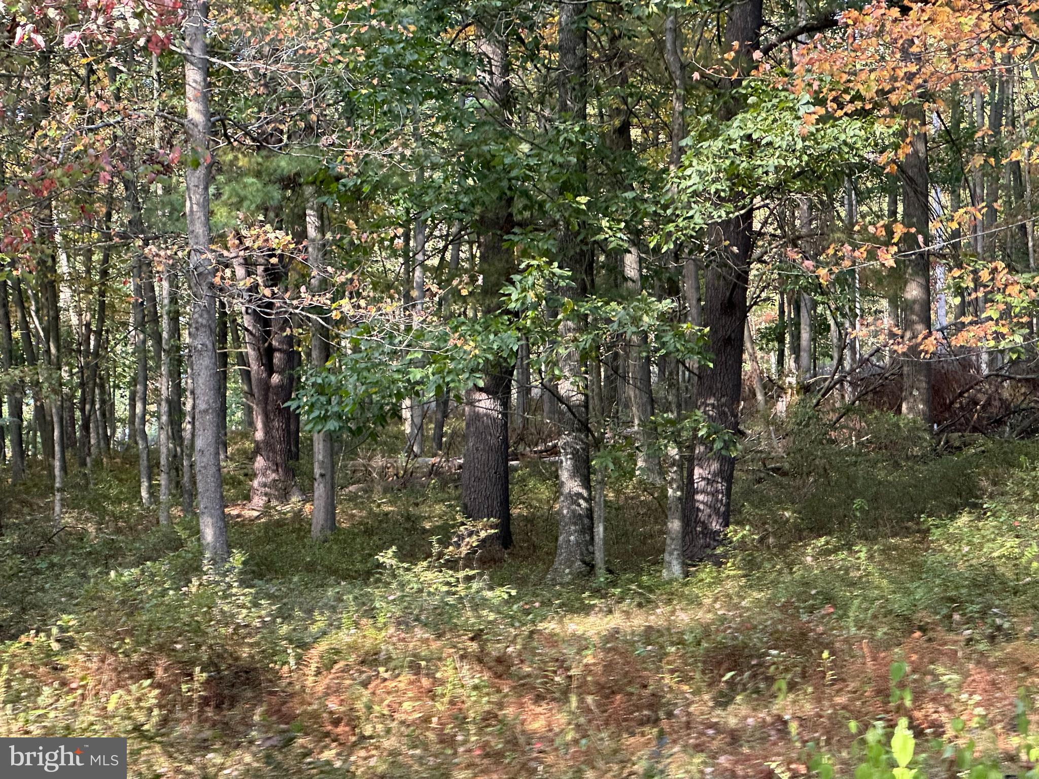 6000 ROLLING STONE ROAD