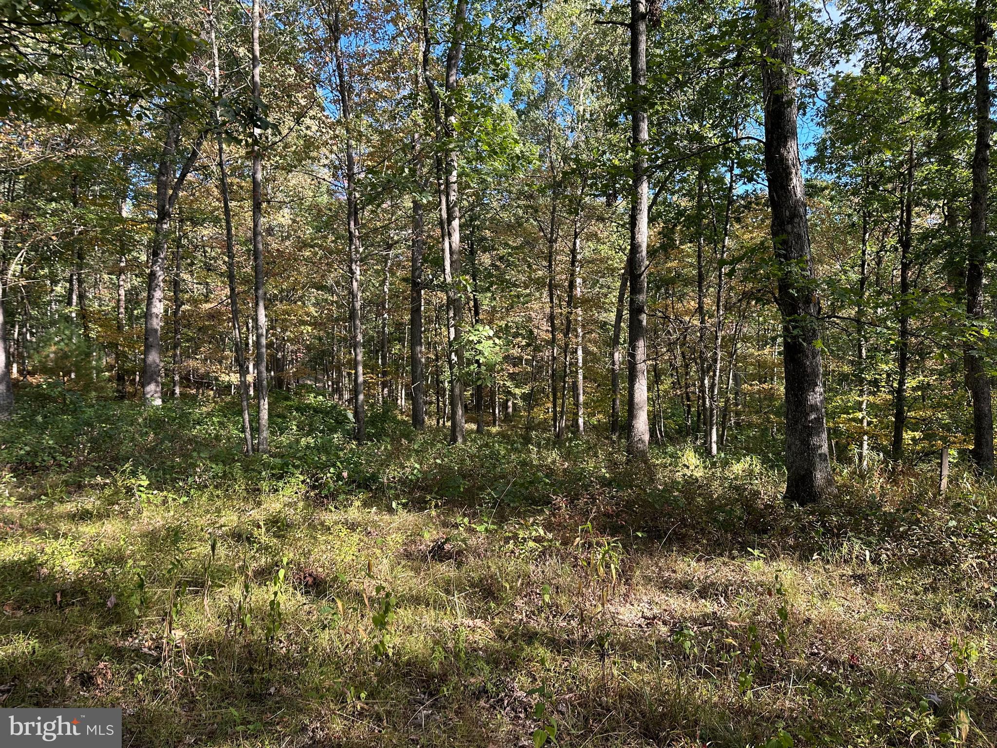 6000 ROLLING STONE ROAD