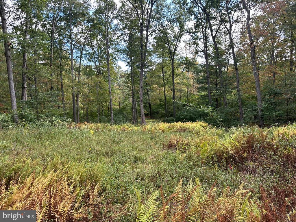 6000 ROLLING STONE ROAD