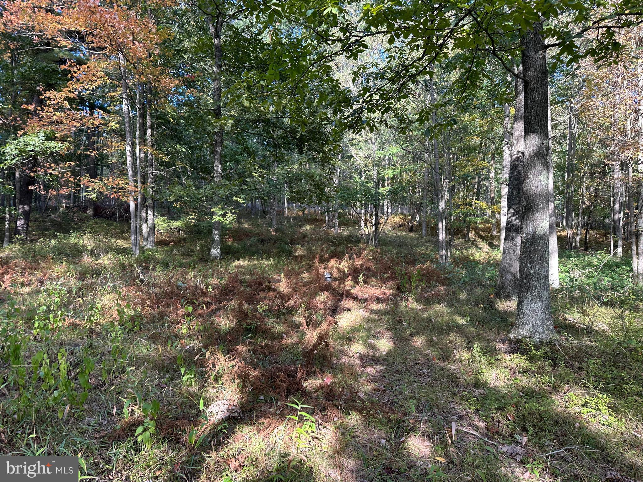 6000 ROLLING STONE ROAD