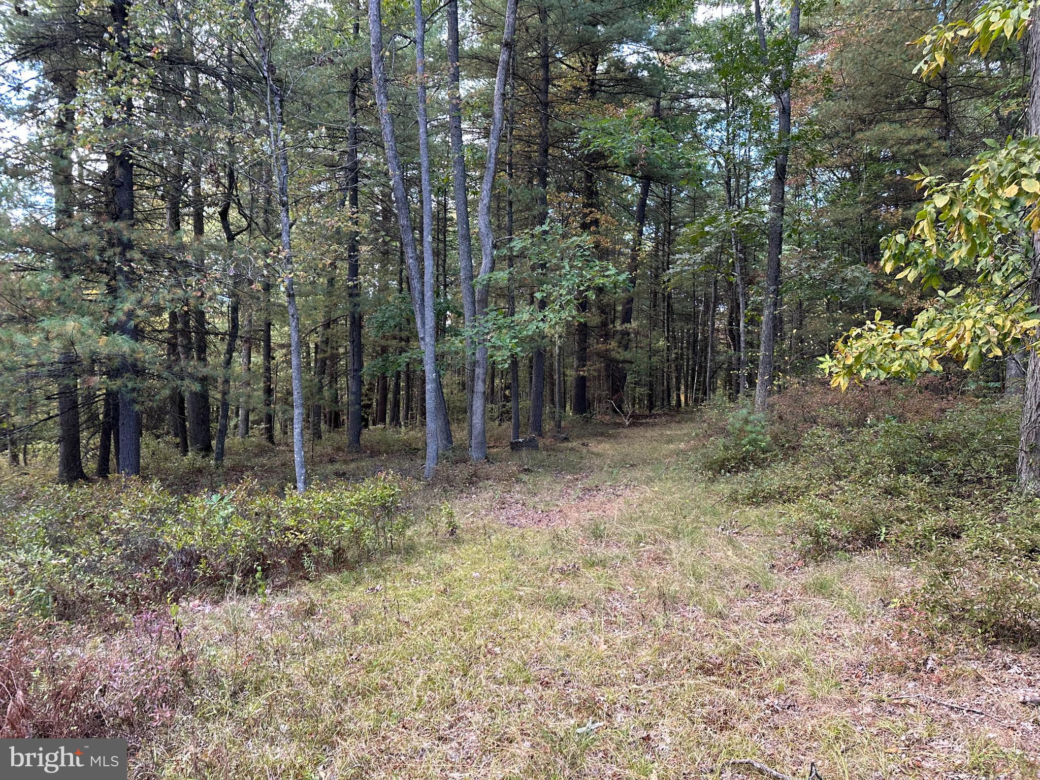 6000 ROLLING STONE ROAD