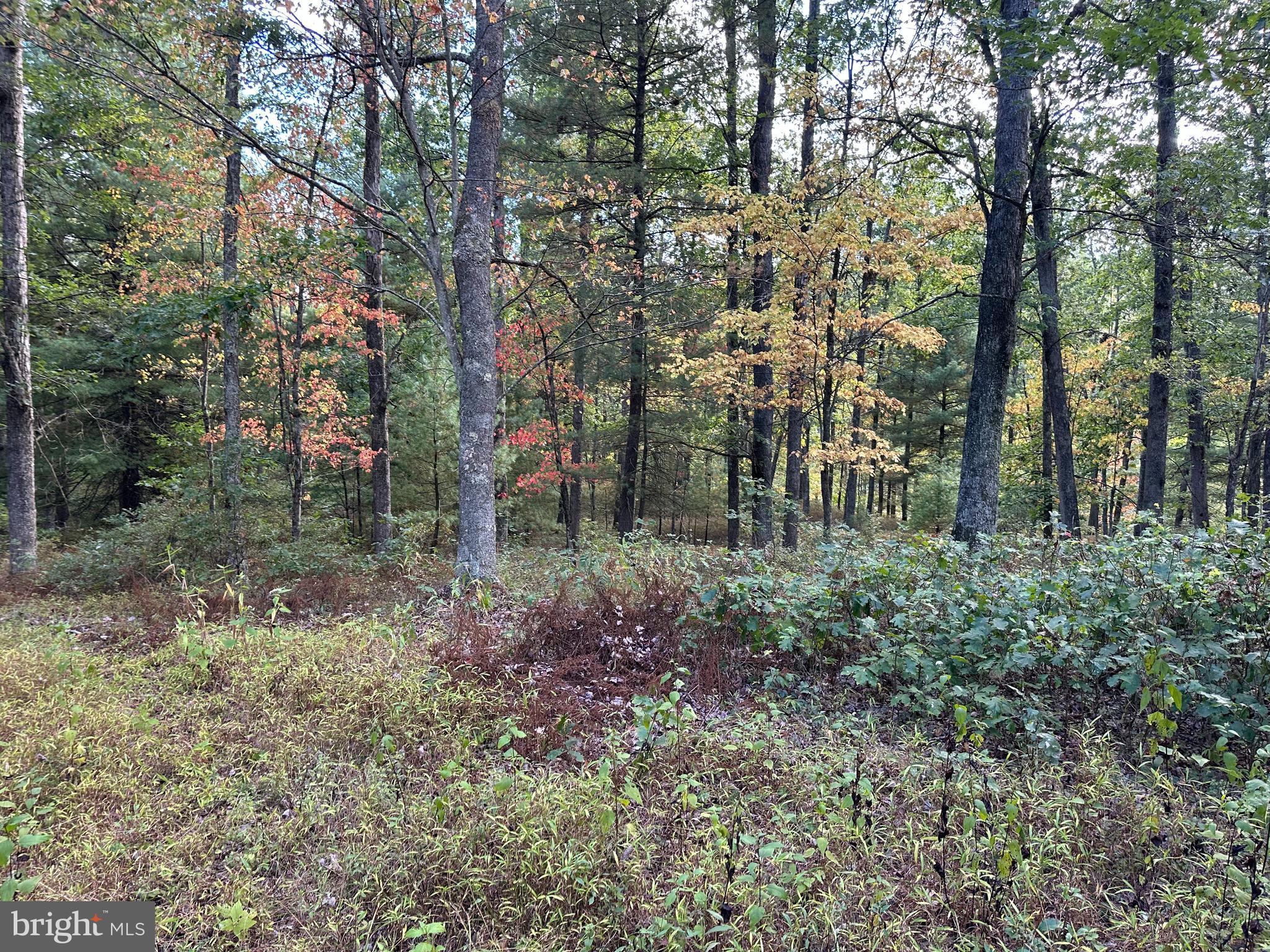 6000 ROLLING STONE ROAD