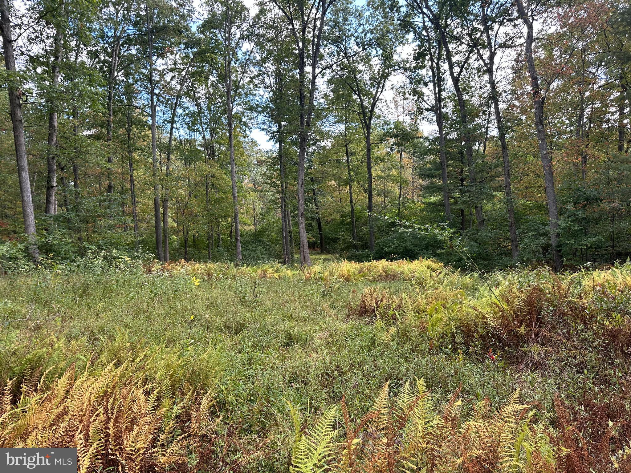 6000 ROLLING STONE ROAD