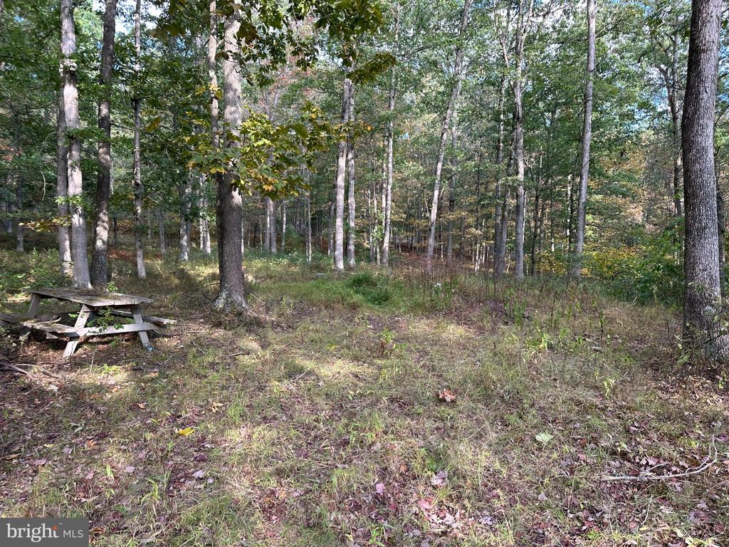 6000 ROLLING STONE ROAD