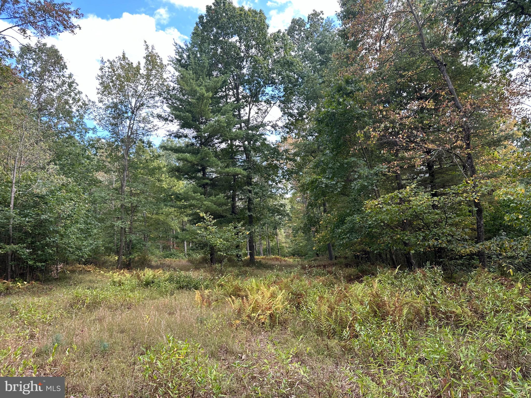 6000 ROLLING STONE ROAD