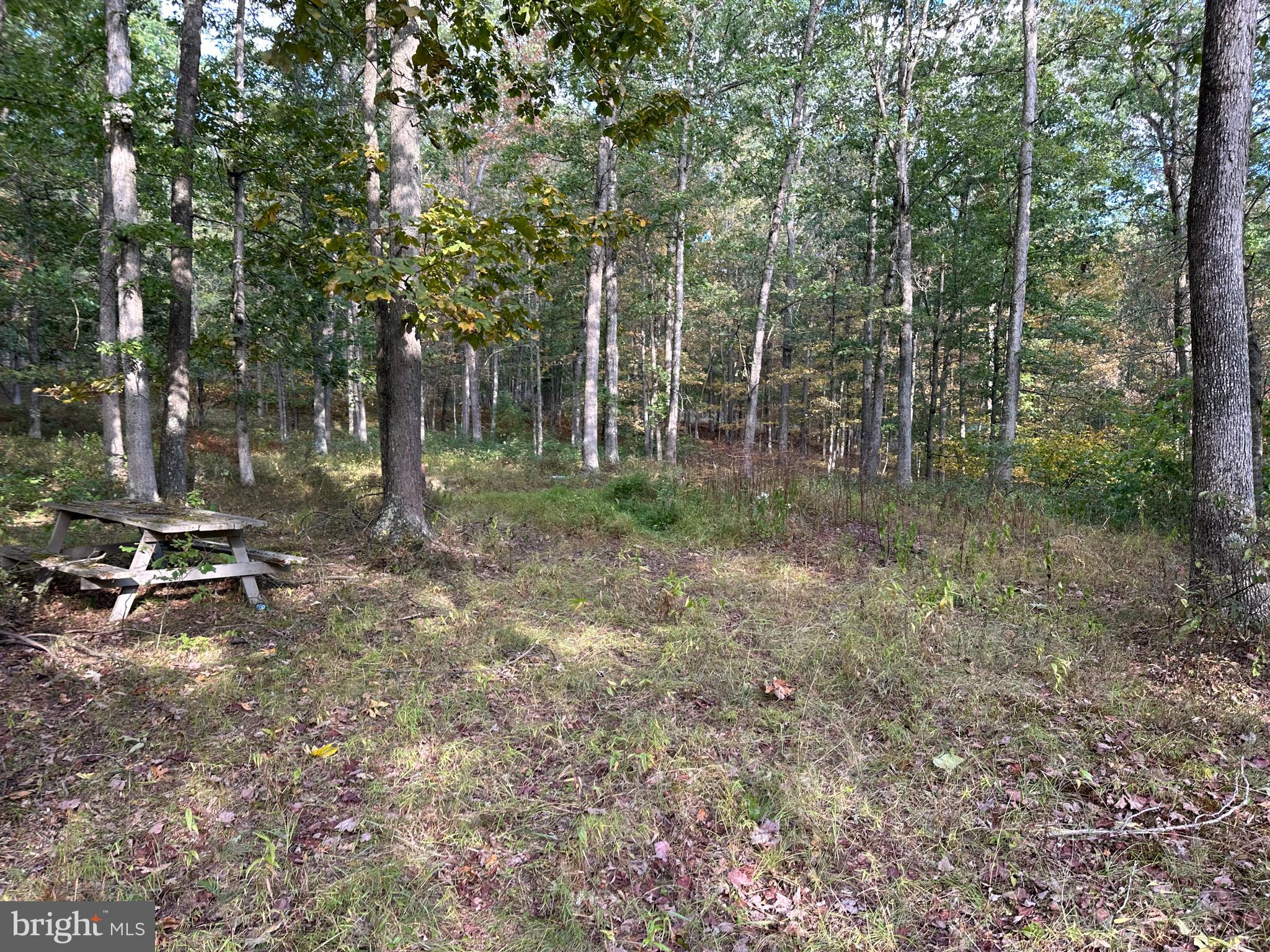 6000 ROLLING STONE ROAD