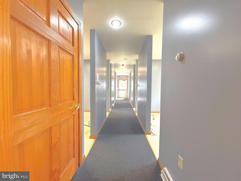 439 SPRING STREET