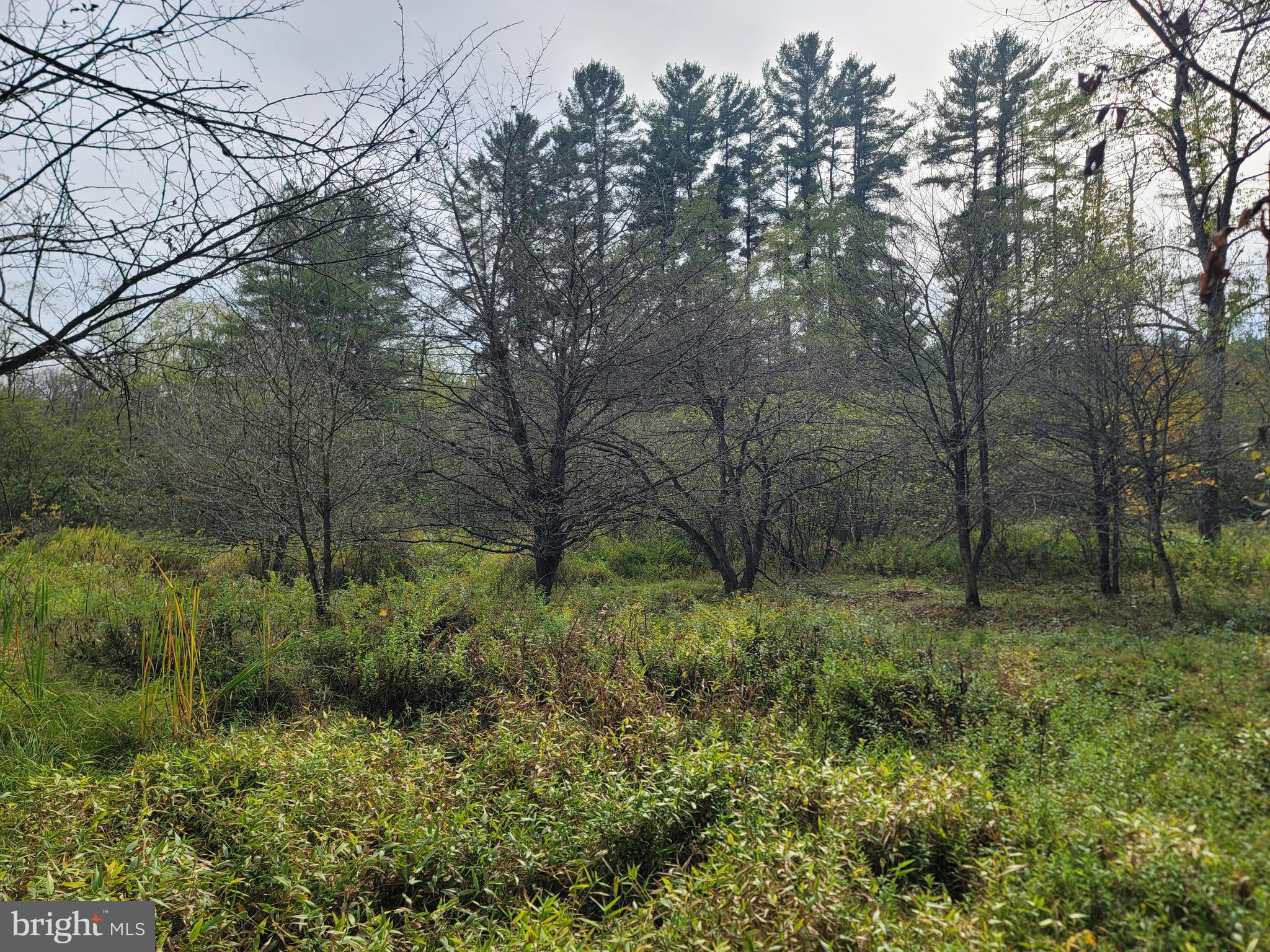 342 FOREST MINE ROAD