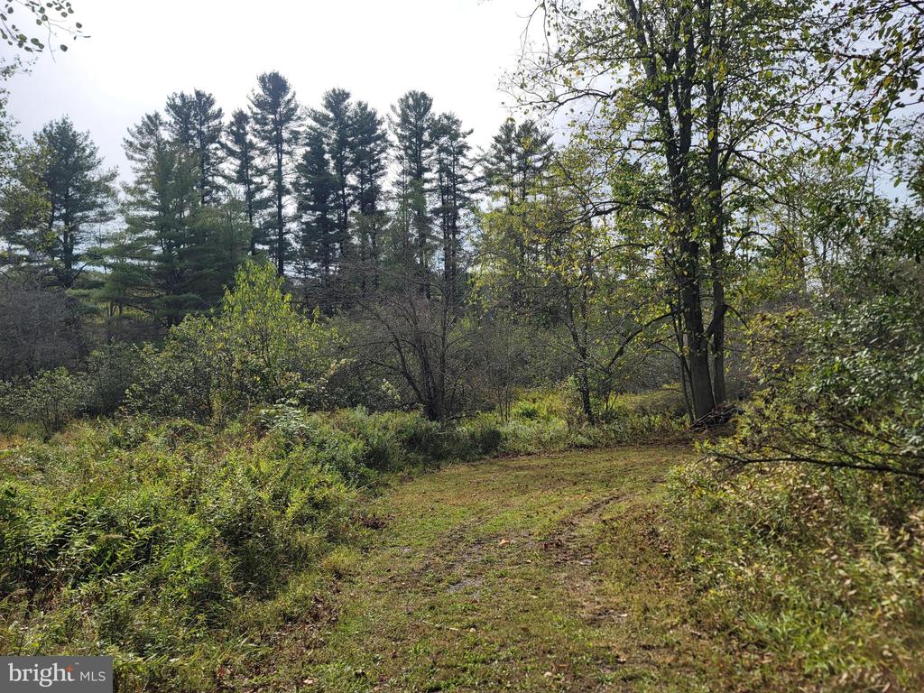 342 FOREST MINE ROAD