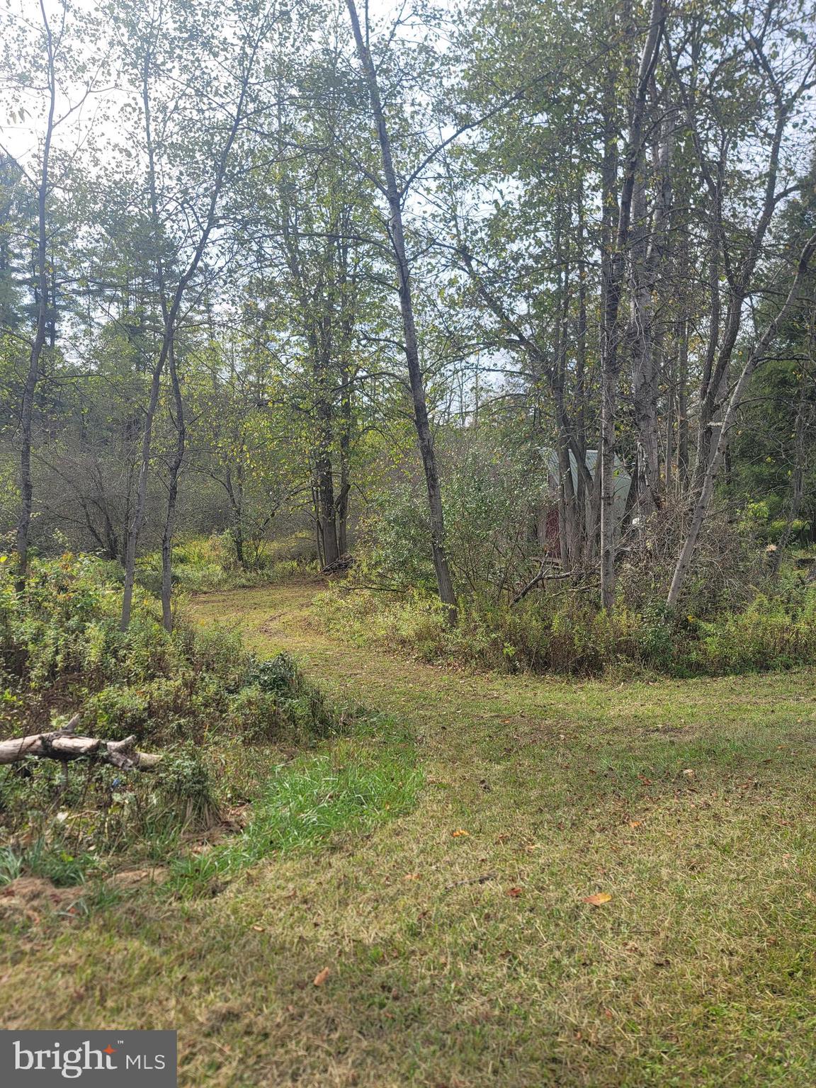 342 FOREST MINE ROAD