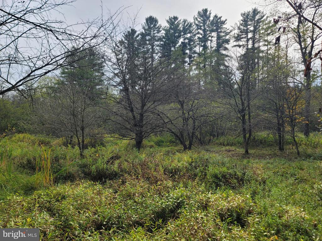 342 FOREST MINE ROAD