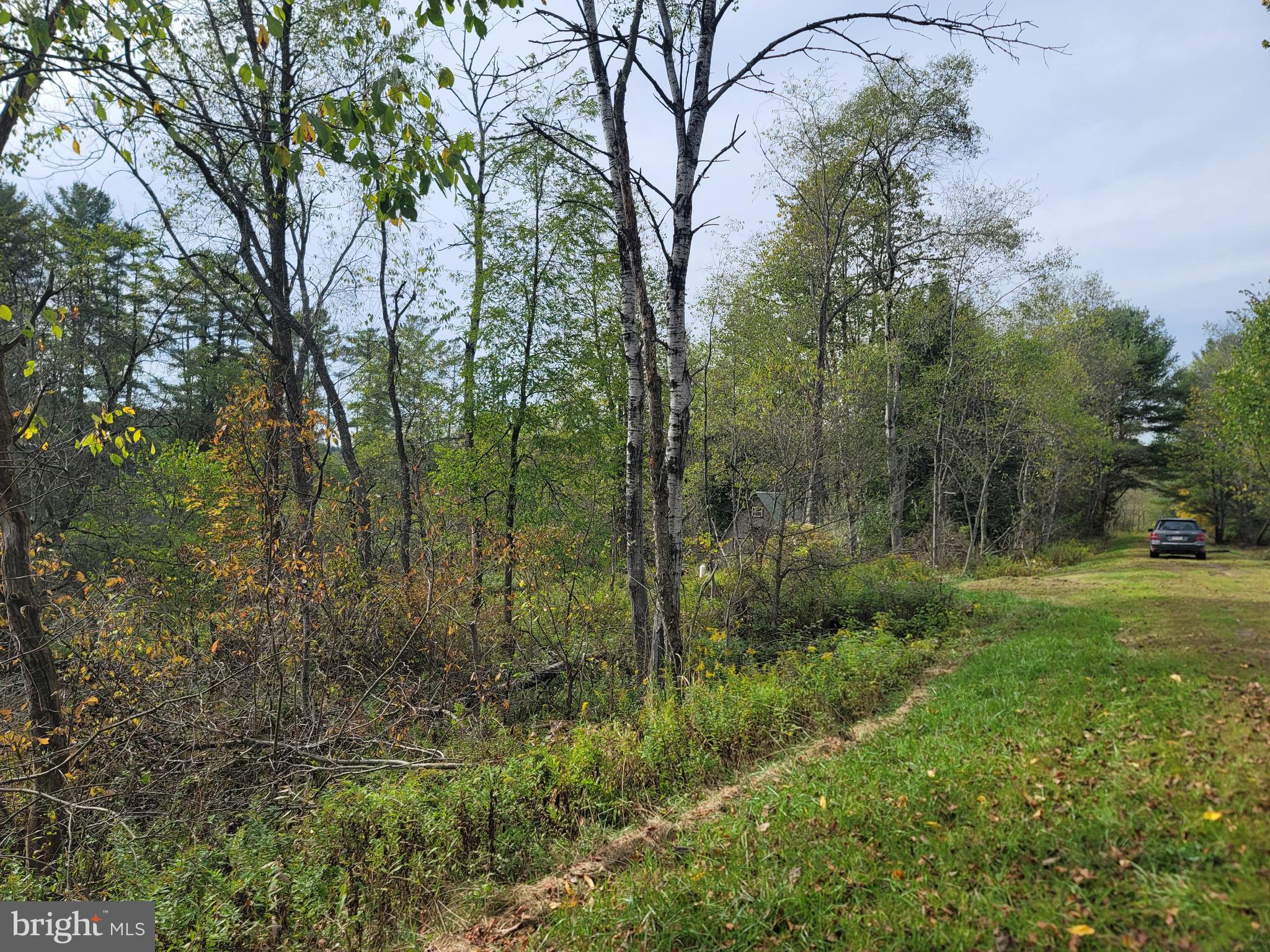 342 FOREST MINE ROAD