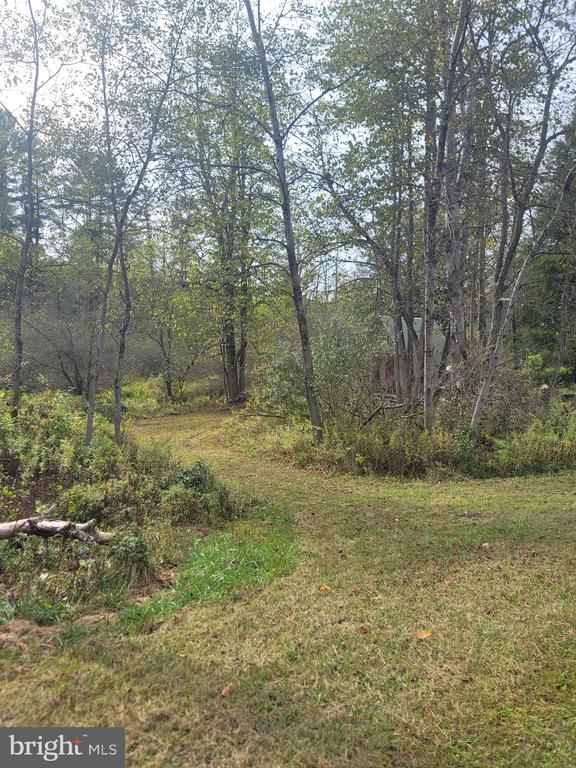 342 FOREST MINE ROAD