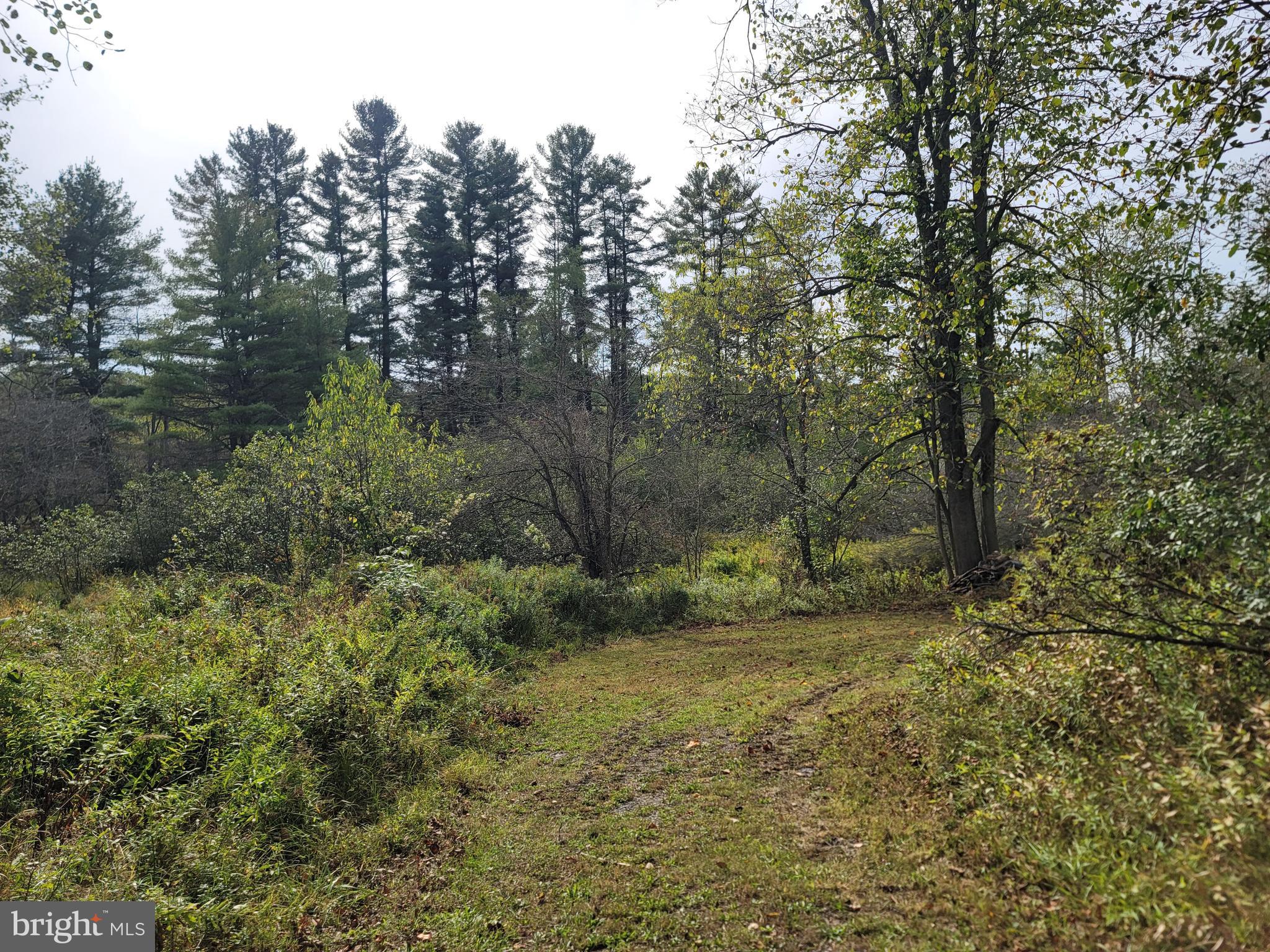 342 FOREST MINE ROAD