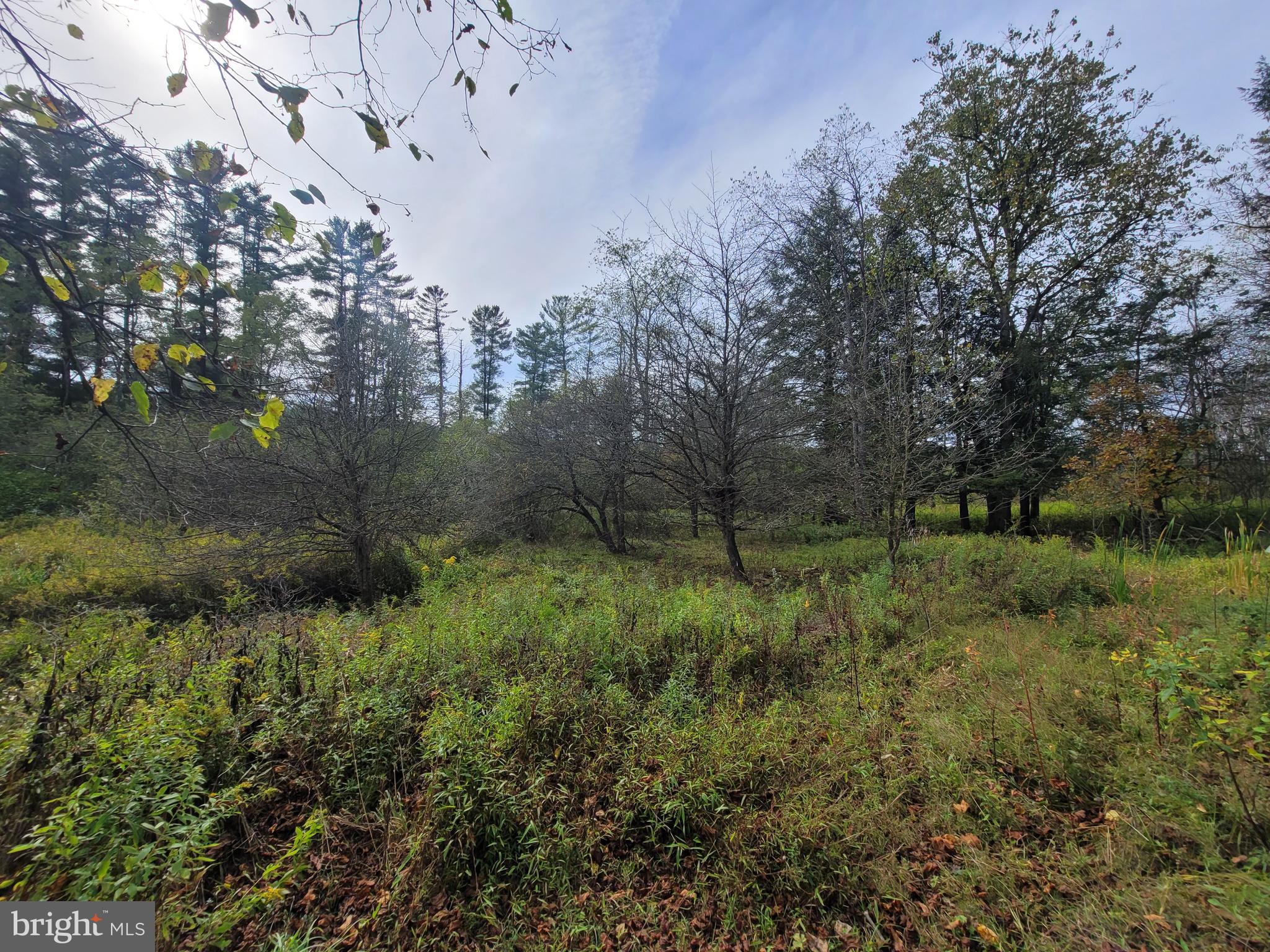 342 FOREST MINE ROAD