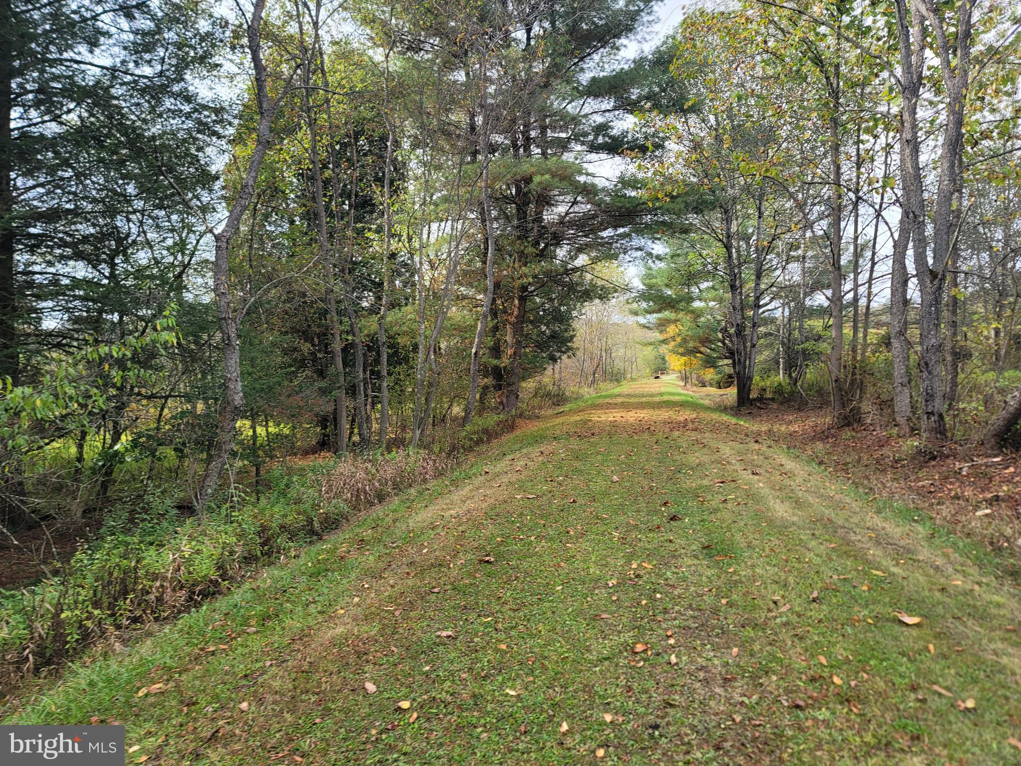 342 FOREST MINE ROAD