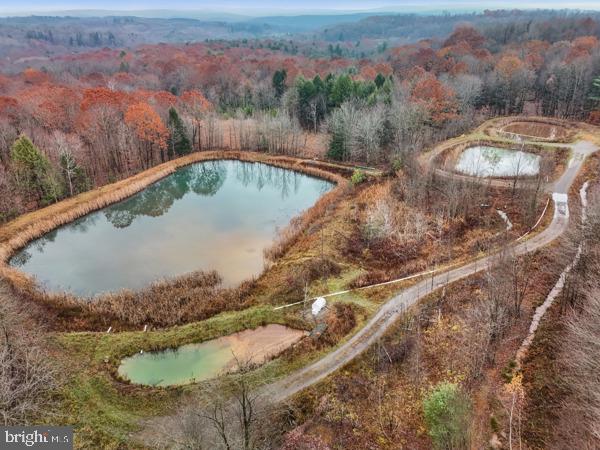 BAUGHMAN CEMETERY RD