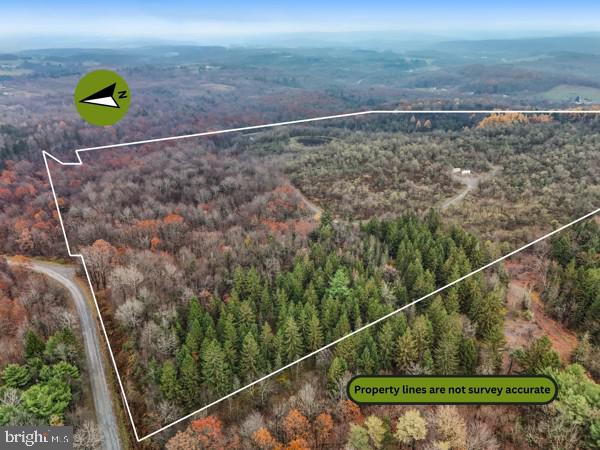 BAUGHMAN CEMETERY RD