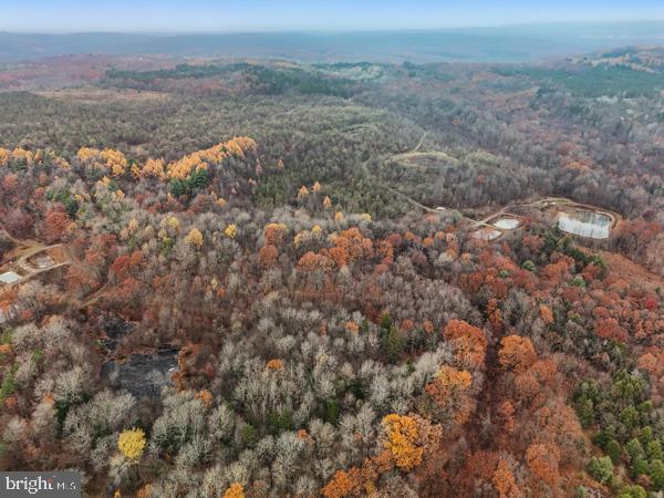 BAUGHMAN CEMETERY RD