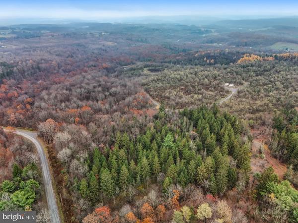 BAUGHMAN CEMETERY RD
