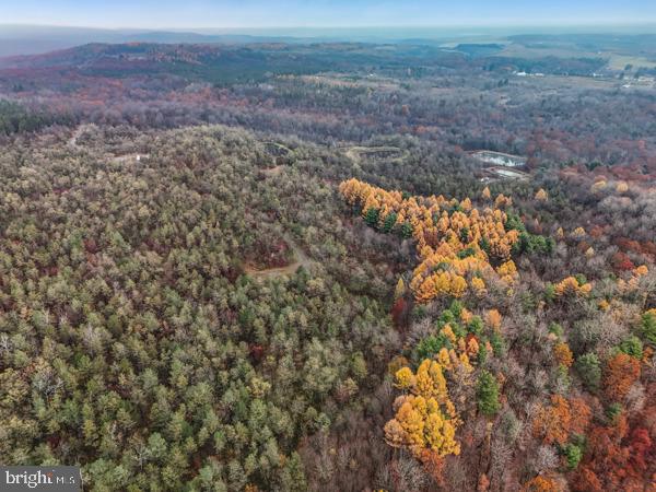 BAUGHMAN CEMETERY RD