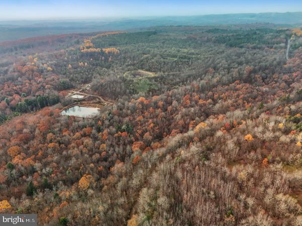 BAUGHMAN CEMETERY RD