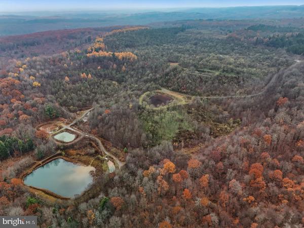 BAUGHMAN CEMETERY RD