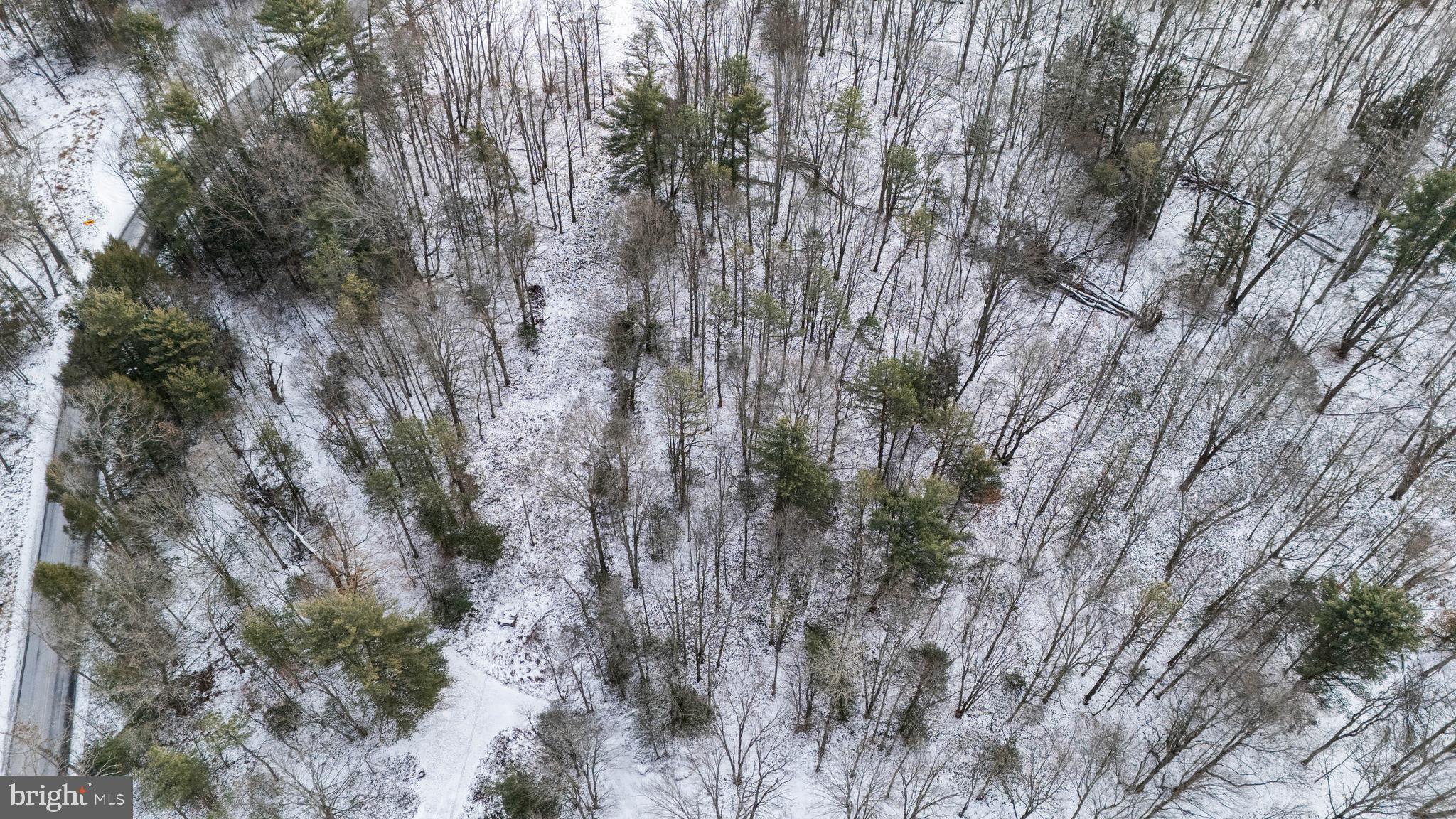 3420 SANBOURN STREET