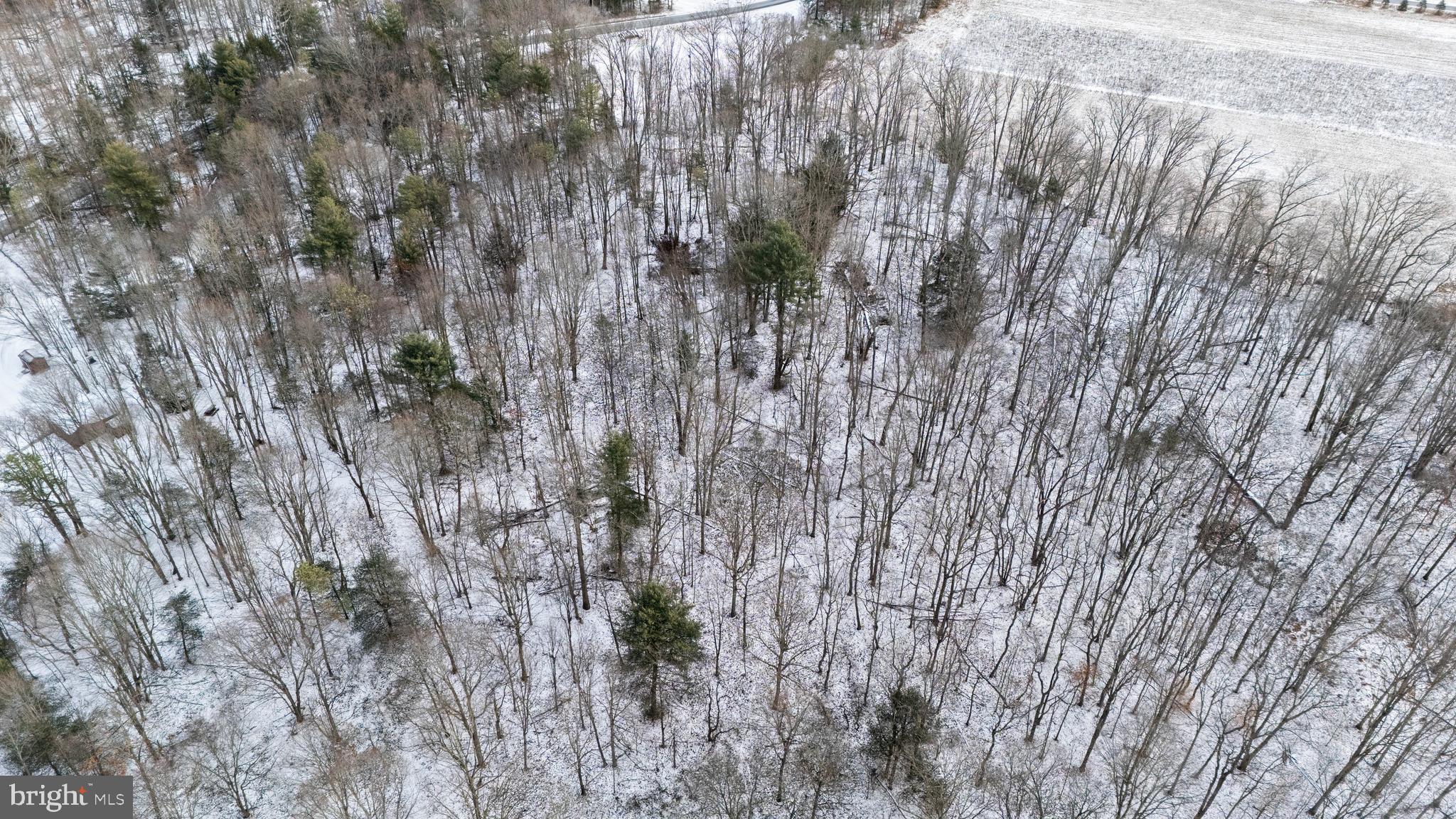 3420 SANBOURN STREET