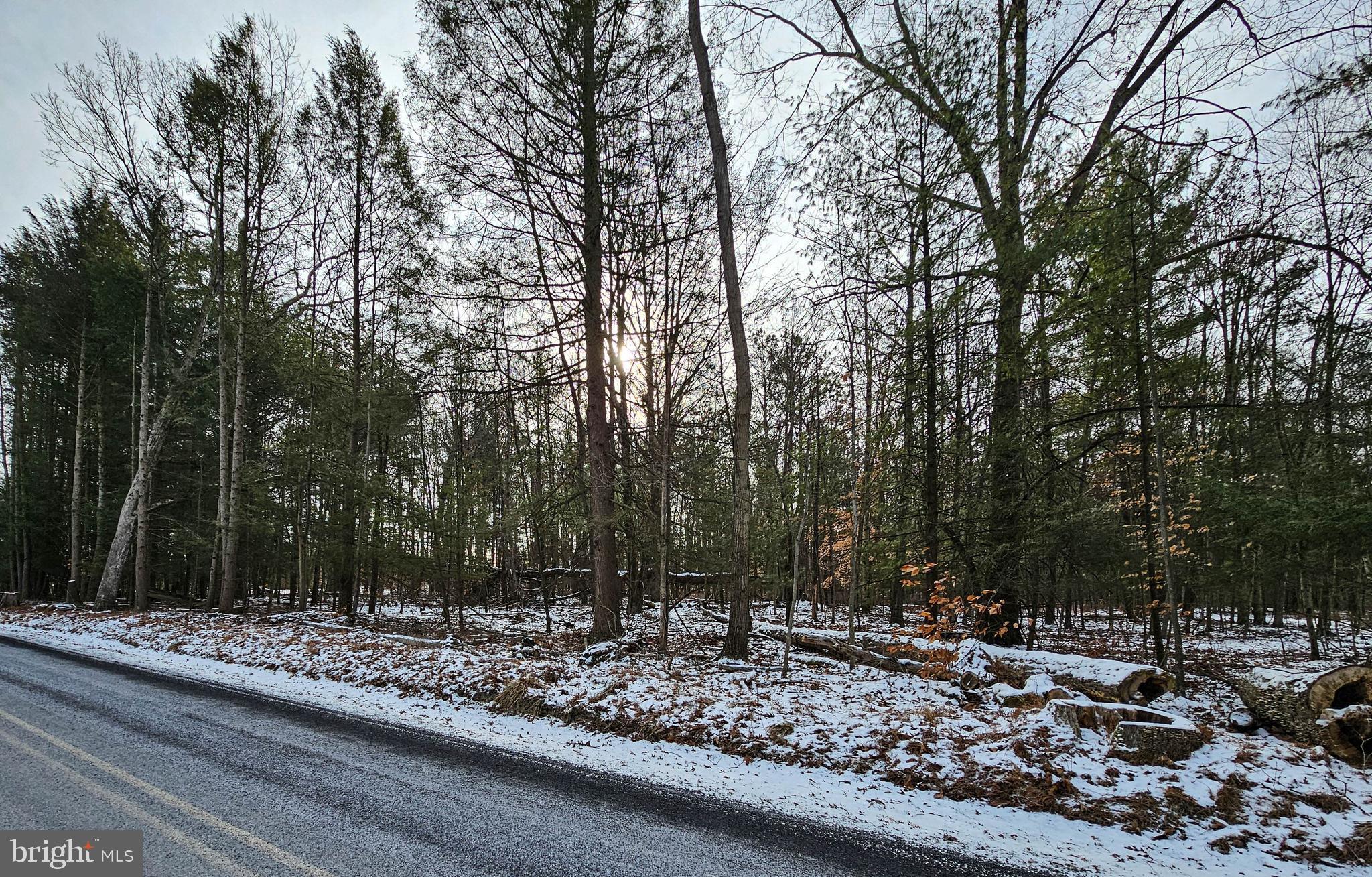 3420 SANBOURN STREET