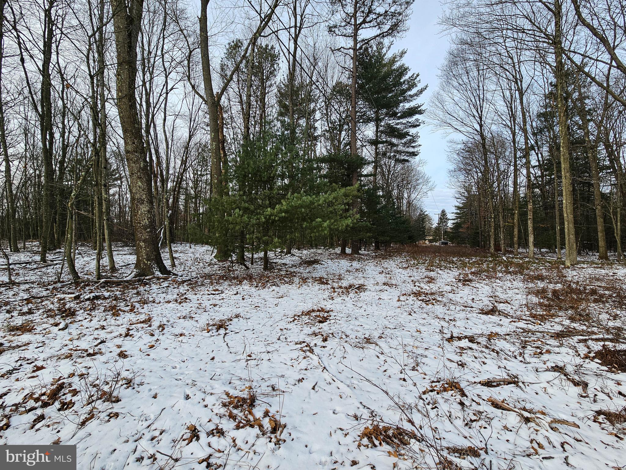 3420 SANBOURN STREET