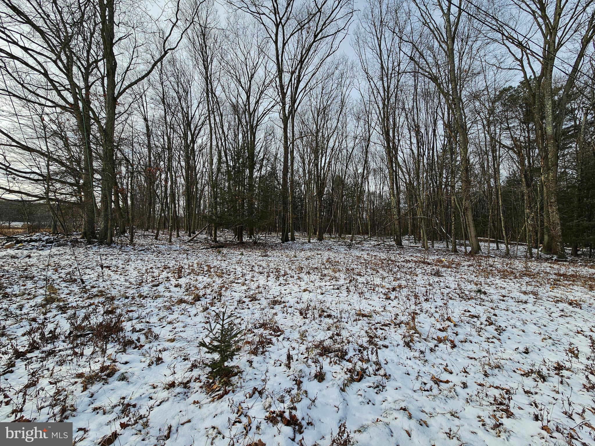 3420 SANBOURN STREET