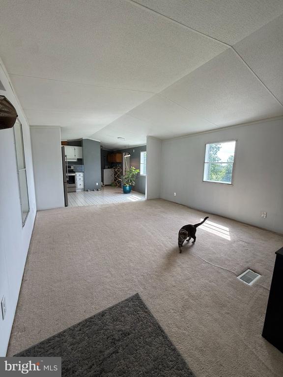 1283 BLUE SPRUCE ROAD