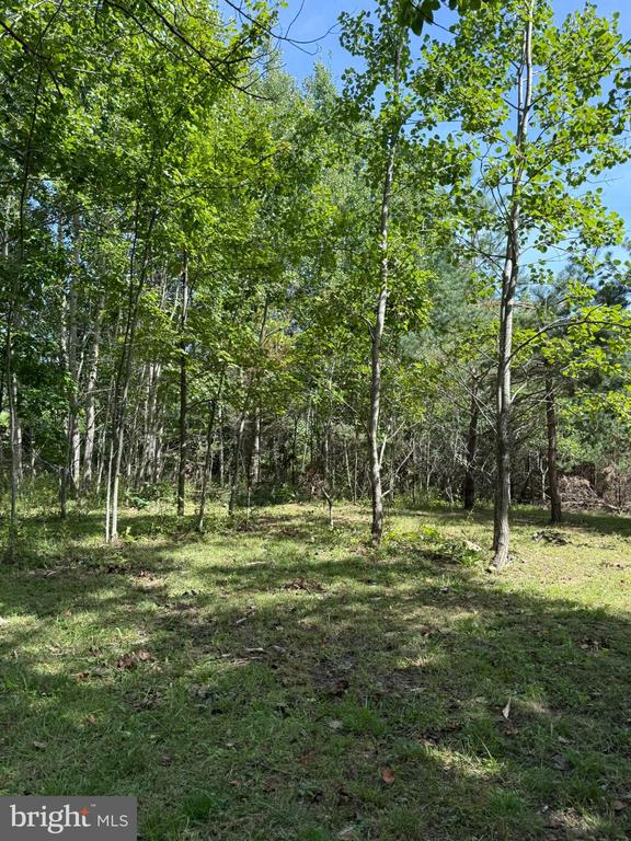 1283 BLUE SPRUCE ROAD