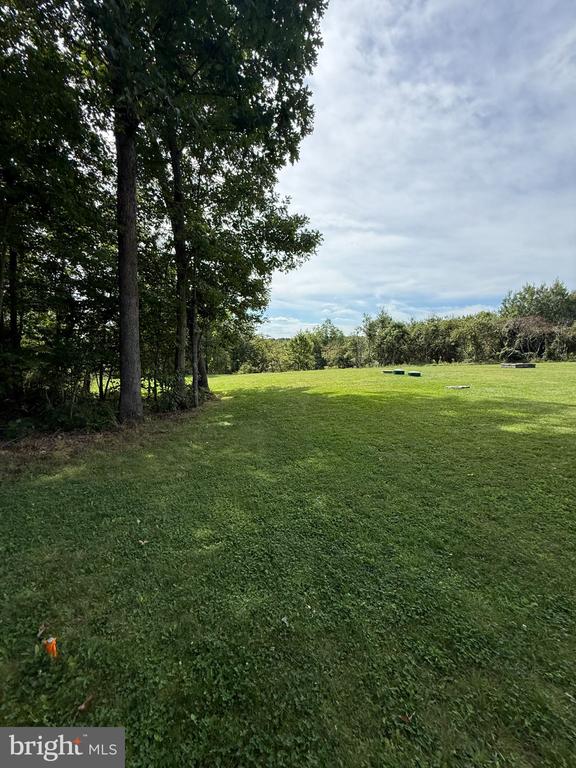 1283 BLUE SPRUCE ROAD