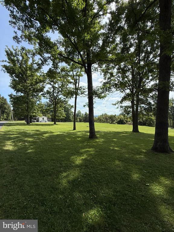 1283 BLUE SPRUCE ROAD