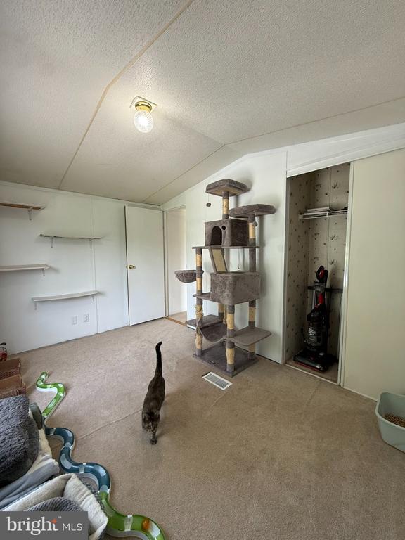 1283 BLUE SPRUCE ROAD